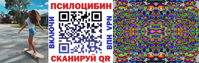 наркошоп  Луза  Псилоцибиновые грибы мицелий 