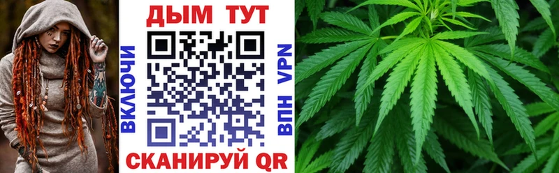Марихуана план  магазин продажи наркотиков  Луза 